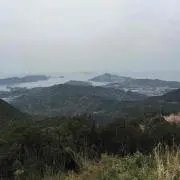 モモの画像