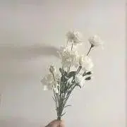 まるの画像