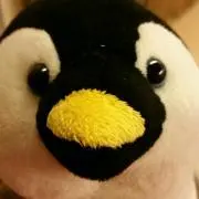 SHOの画像