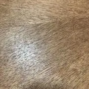 MMM