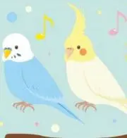 咲良の画像
