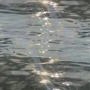 あきの画像