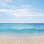 たく