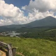 kana saleの画像