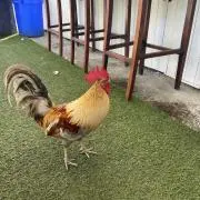 なつ⭐︎の画像