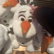 まの画像