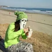 マチャの画像