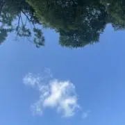 へいの画像