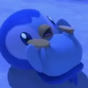 ぽこたの画像