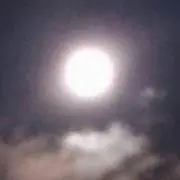 ꫛᎯЯᱛꫛ※プロフ一読お願いいたしますの画像