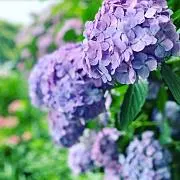 ♡なんでもフリーマーケット♡の画像
