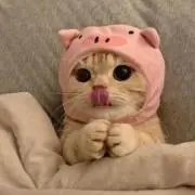 ʚ♡ɞの画像