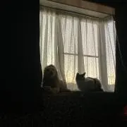 Lの画像