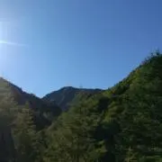 るーしぃの画像