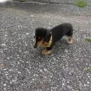 うこん☆