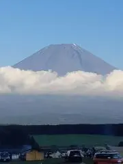ニシクンの画像