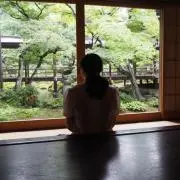 たきの画像