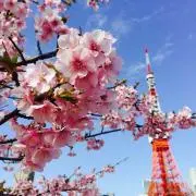 スイカジュースの画像