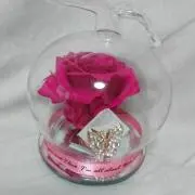 yoshiの画像