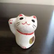 たこの画像
