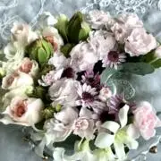 vanillaの画像