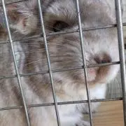 みさの画像