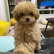 ゆきななママ