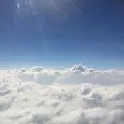 べりーの画像
