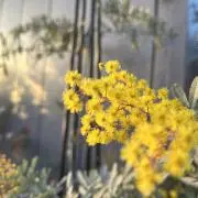 うーし。の画像