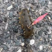 ちょいと一息♪♪