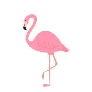 Flamiんごの画像
