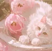 mechiの画像