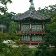 カヨ