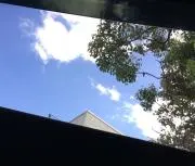 ななの画像