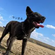 サンまるくんのお店※プロフ見てねの画像