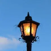 アヤの画像