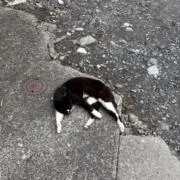 りの画像