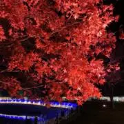 09-の画像