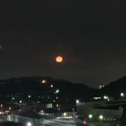ぷりーくりー