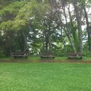 グリーン