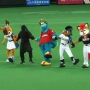 sellafyしばらく出品停止中