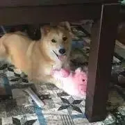 まさ（プロフィール必読）