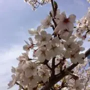 たにたに