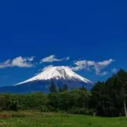 キキの画像