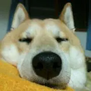 凛