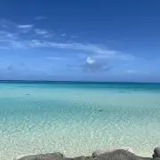 まぁたの画像