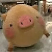 テンカ。