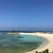 ミントの画像