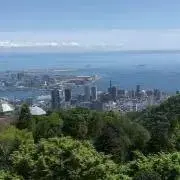 つかさくらの画像