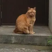 コマ